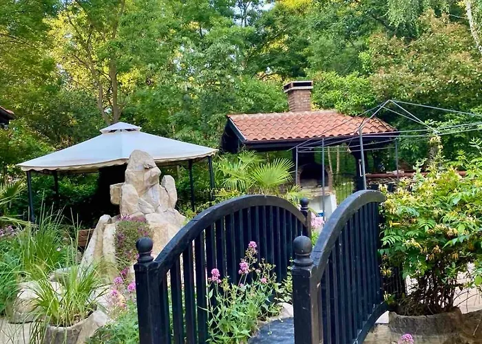 Lines * 普里莫尔斯科