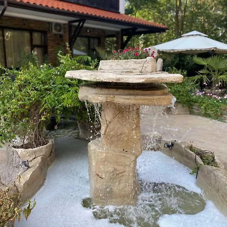 Lines Приморско