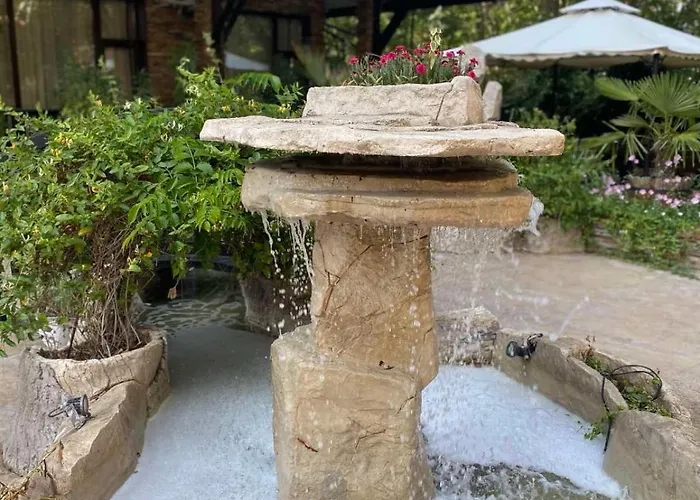 Lines Приморско